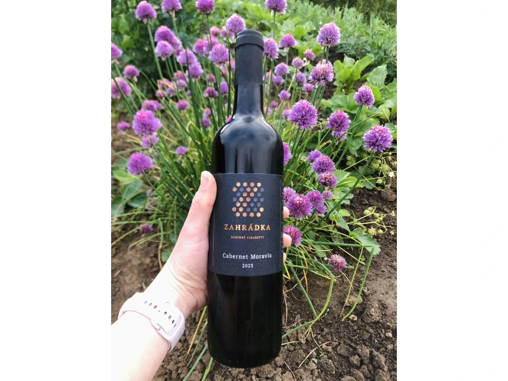 Cabernet Moravia,  2023, moravské zemské víno, suché, Zahrádka